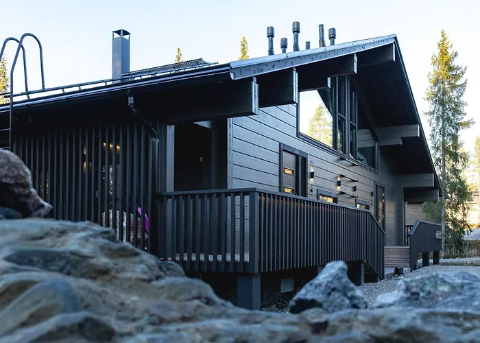 度假居 Modern High-quality 4br In Next To Slopes 列维